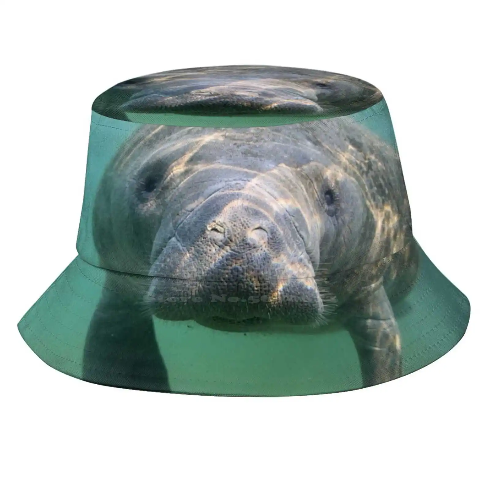 Manatee 3 Sun Cap Fisherman Hat Bucket Hats Manatee Marine Mammal Florida Wildlife Nature Underwater Spring Animal