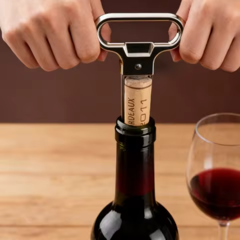 Wine Bottle Opener Pump Set &ndash; Stainless Steel Waiter's Corkscrew with Foil Cutter, Easy Pull Handheld Tool for Kitchen &amp; Bar