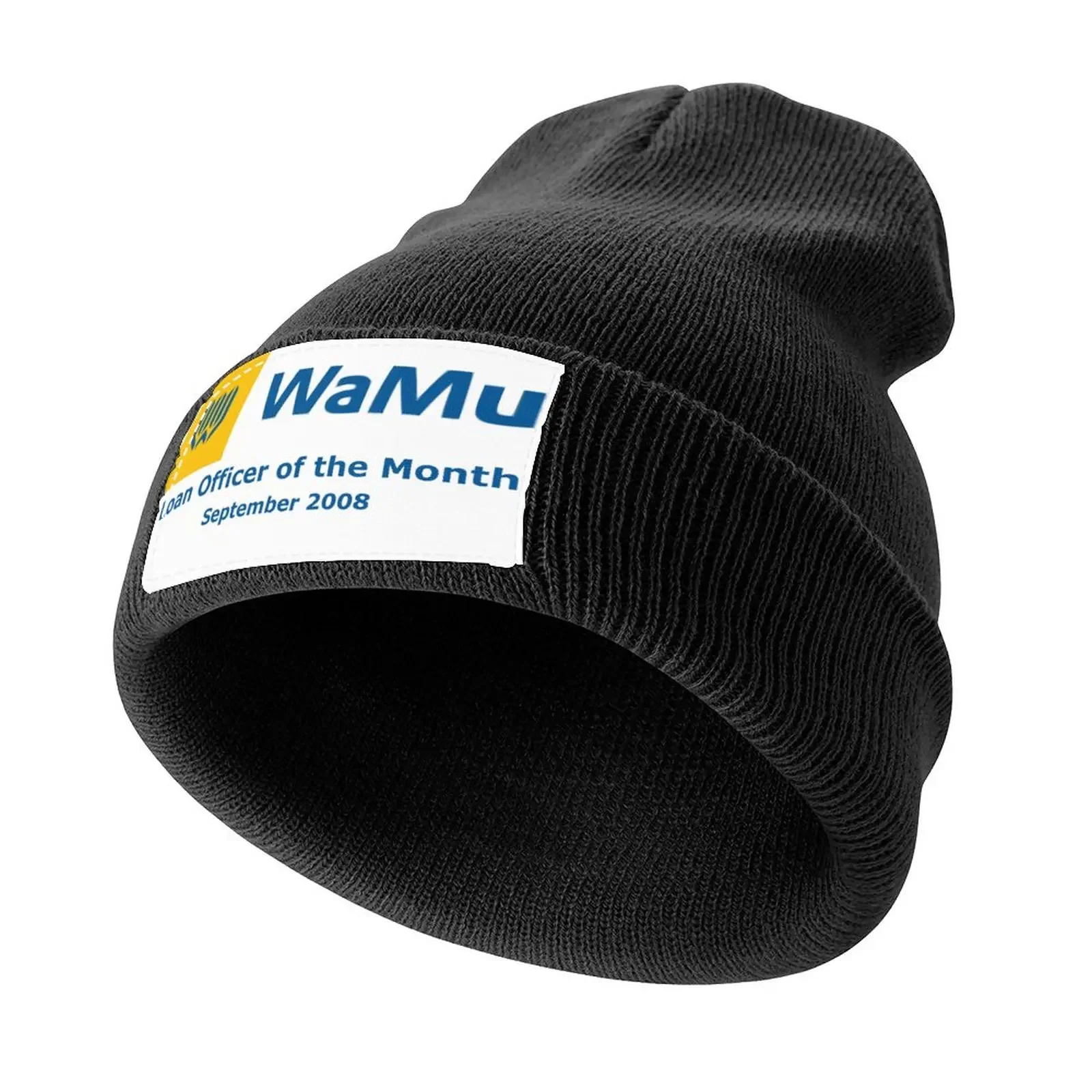 Washington Mutual WaMu Loan Officer Employee of The Month 2008 Bank Bankruptcy Funny Accounting Knitted Cap