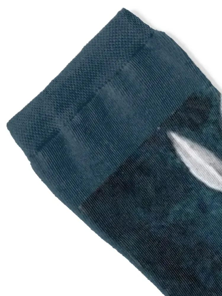 Harvey-Colorized Socks Crossfit fashionable ankle shoes Men's Socks Women's