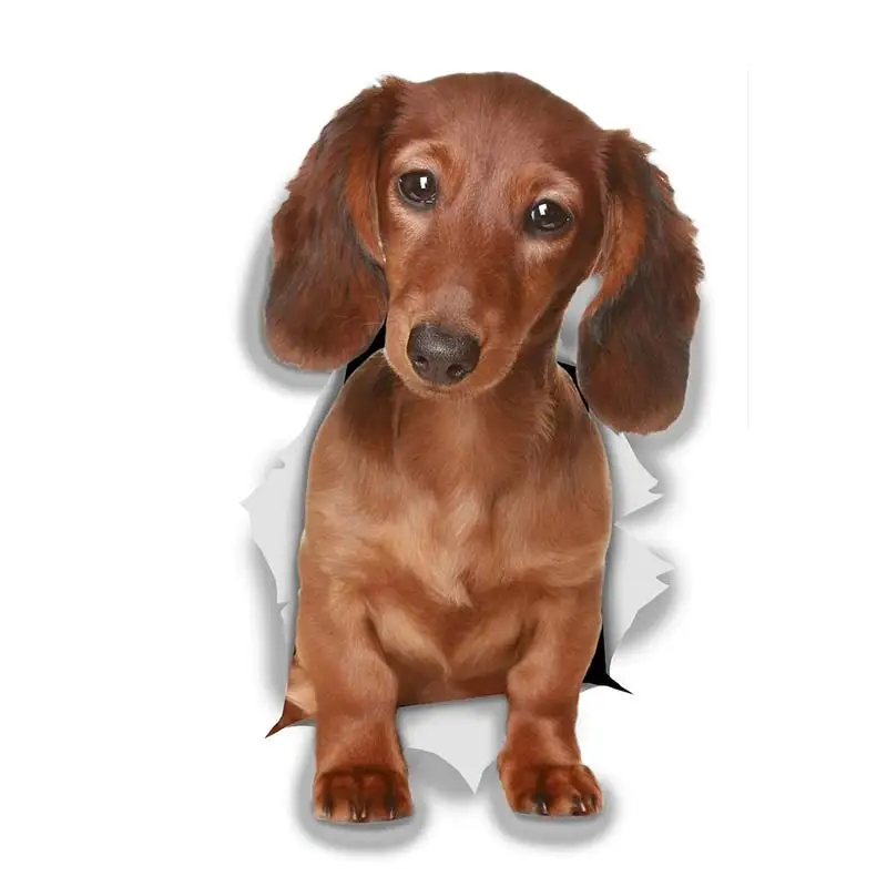 M463 Wurst Hund Rottweiler Hund Yorkshire Terrier Hund PVC Haushalt Dekoration Wand Aufkleber Toilette Aufkleber – Detail 18