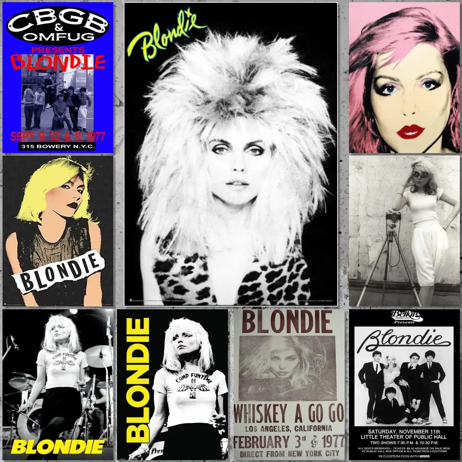 بلوندي كامب Funtime البوب الفرقة المشارك قماش ملصق فني و جدار صورة فنية طباعة الحديثة الأسرة ديكور غرفة نوم الملصقات #1