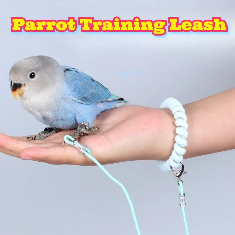 

Parrot Training Leash Safe Comfort Ultra Lightweight Foot Ring Anklet Neck Strap Flight Walking Tether Budgie Cockatiel Lovebird
