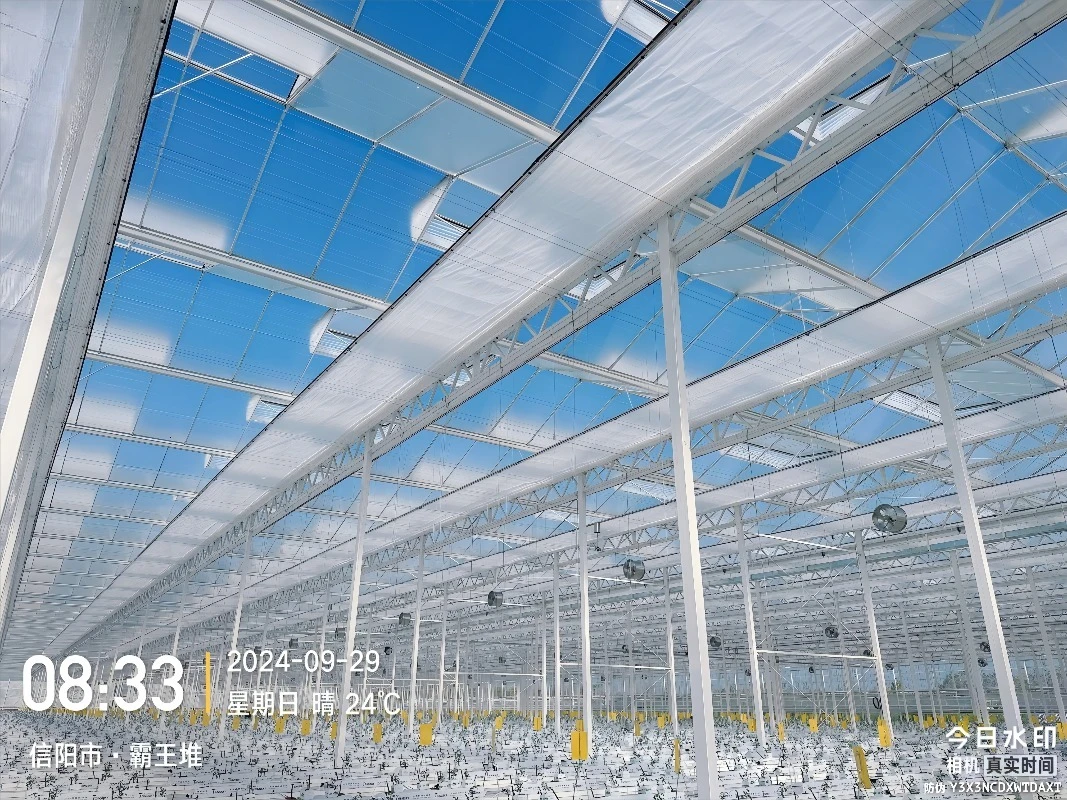 Venlo الدفيئة الزراعية التجارية الساخنة Dip هيكل الصلب المجلفن منزل زجاجي طويل المتانة للخضروات والزهور