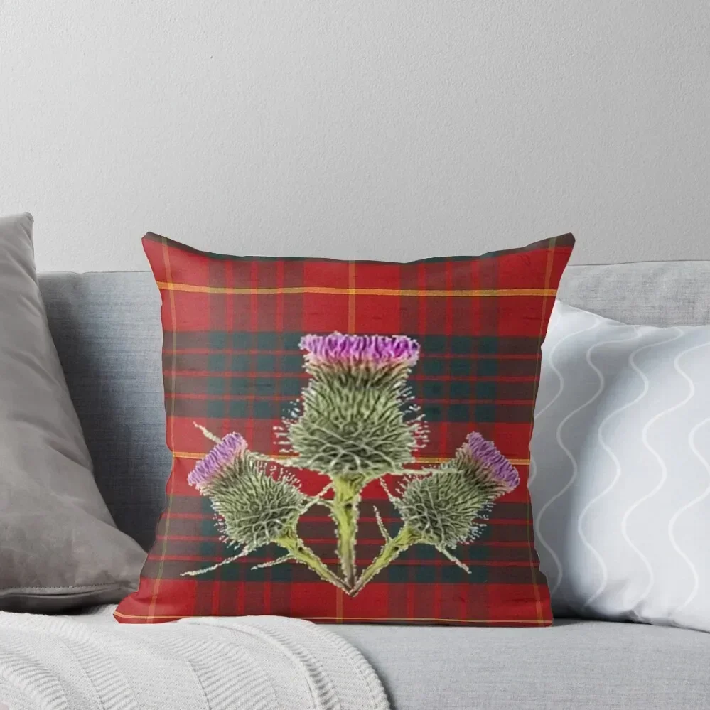 SCOTTISH THISTLES ON CAMERON CLAN TARTAN Throw Pillow Decorative pillow case pillow cover luxury Throw Covers