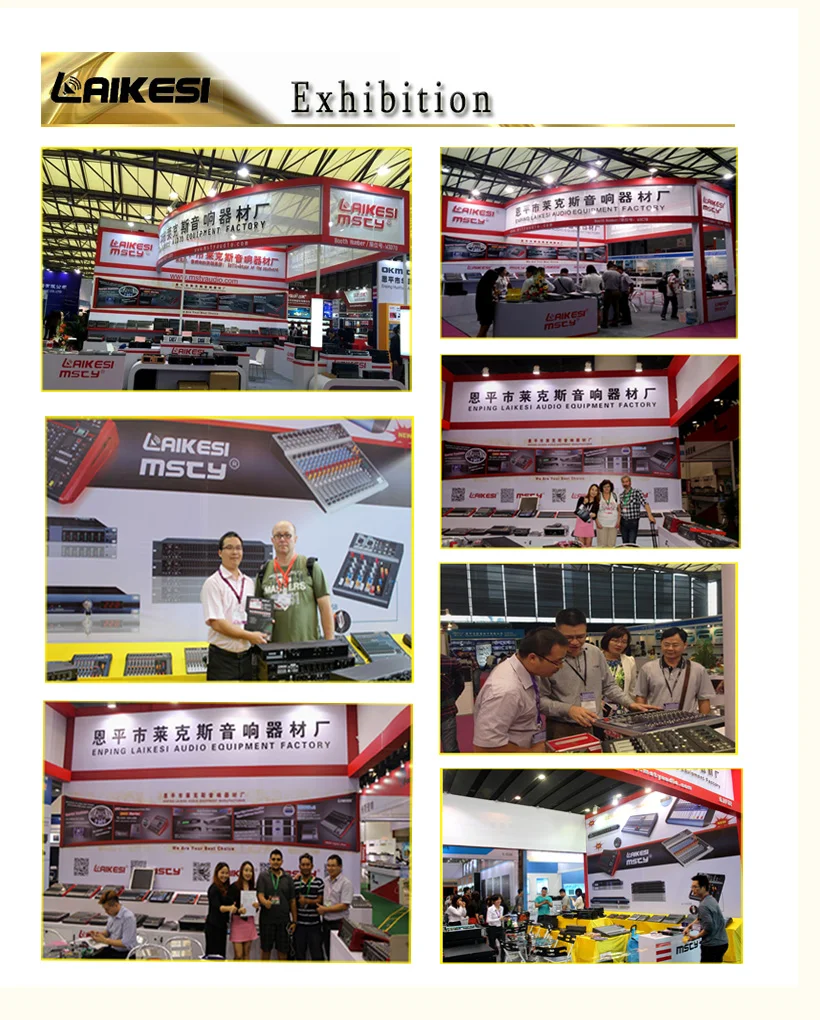 Lex Professional KTV Stage Handheld Sound System Dynamic Professional Wireless Microphone Noise Cancelling Microphone