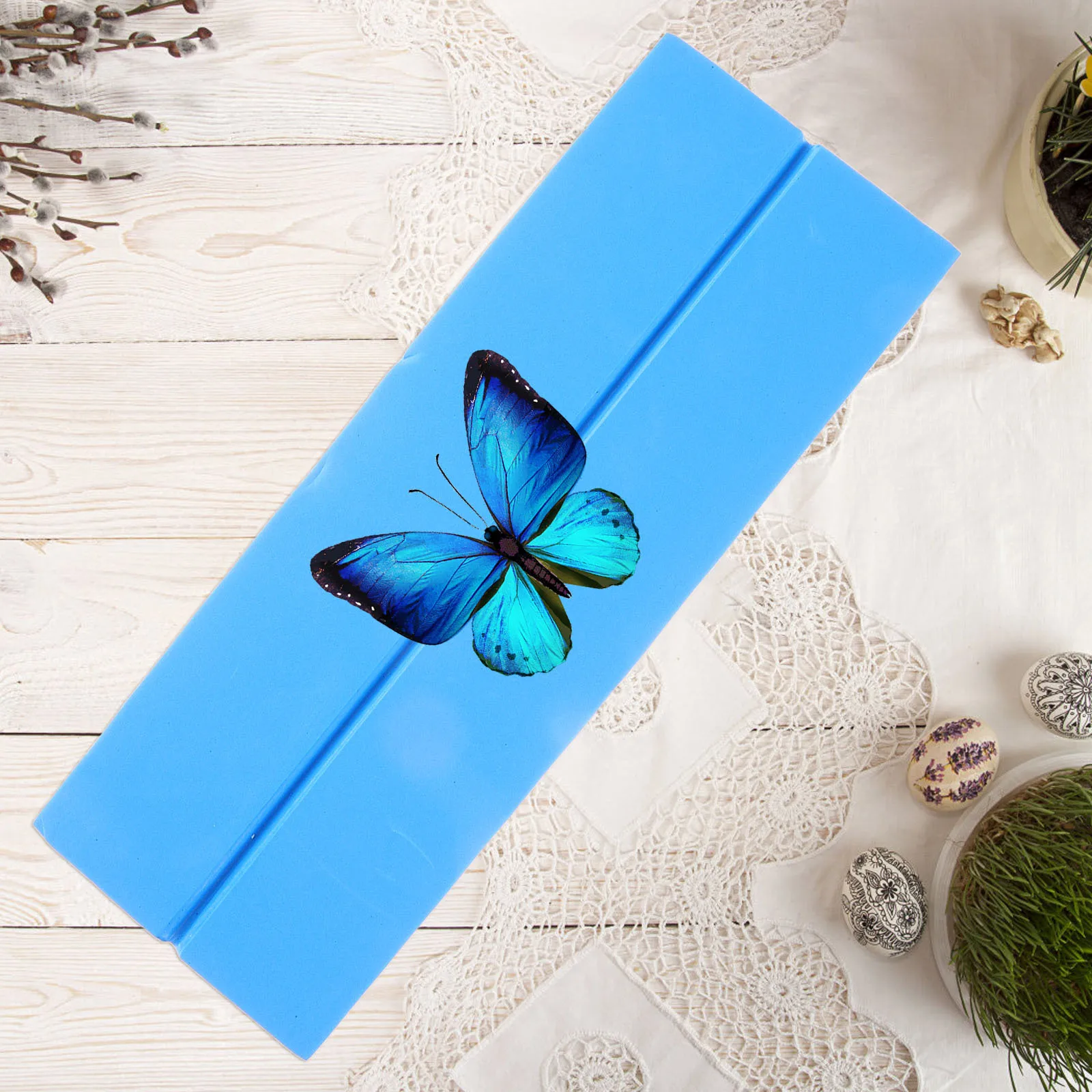 Planche de présentation pour spécimens, planche de montage et d'étalement pour papillons, base en mousse stable, maintient les spécimens en place, idéal pour les papillons