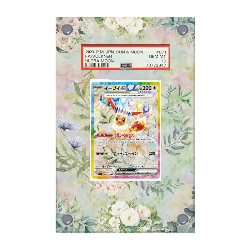 Psa Art Display voor Pokemon Card Terastal Eevee Qikachu Acryl Uitgebreide Schilderij Vaststeen Collectie Card Display Stand Gift