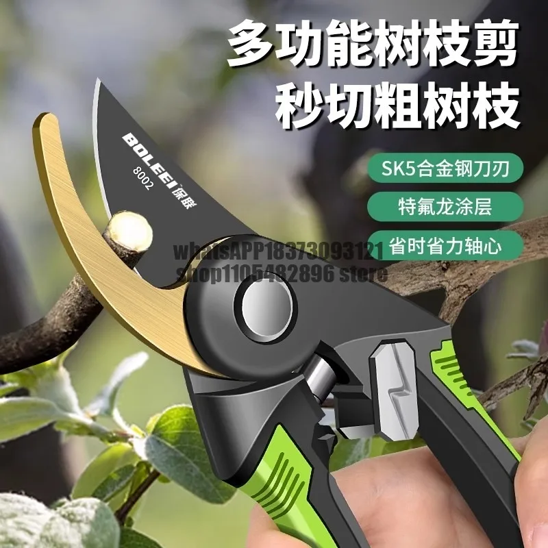 Pruning shears Gardening  branches Fruit tree special  Pruning flowers Fruit wood Grape shears Tools