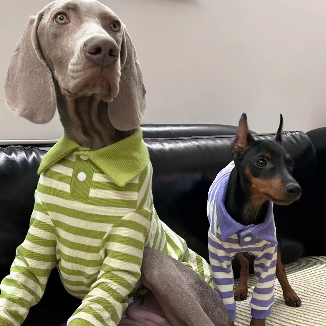 Green Striped Polo Shirt for Dogs in Spring Soft Elastic Cotton Coat for Bedlington Italian Greyhound Soft Loungewear in Autumn view 2