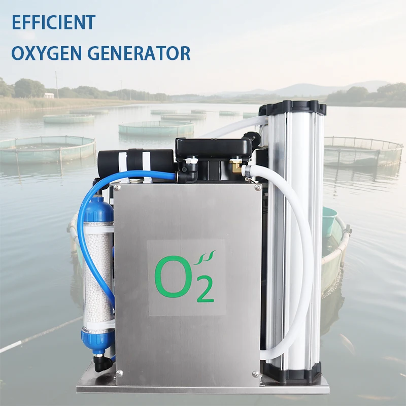 Customizable 10Lpsa Oxygen Generator Module Using Zeolite Molecular Sieve Pressure Swing Adsorption