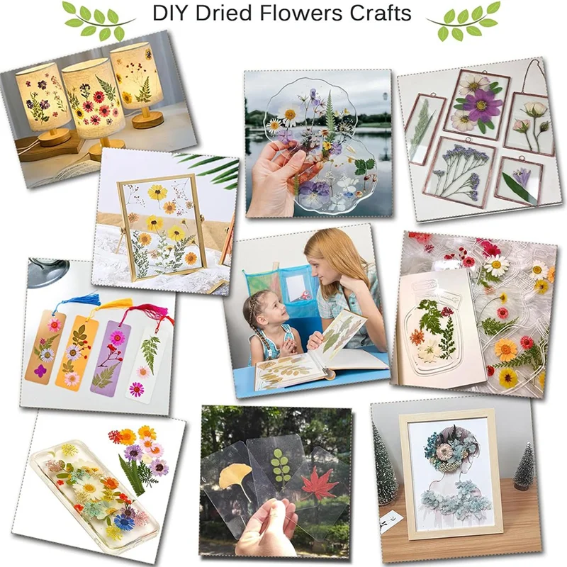 ABKJ-DIY Flower Pressing Kit 30X21cm For Adults To Making Dried Flower & Press Flowers Arts