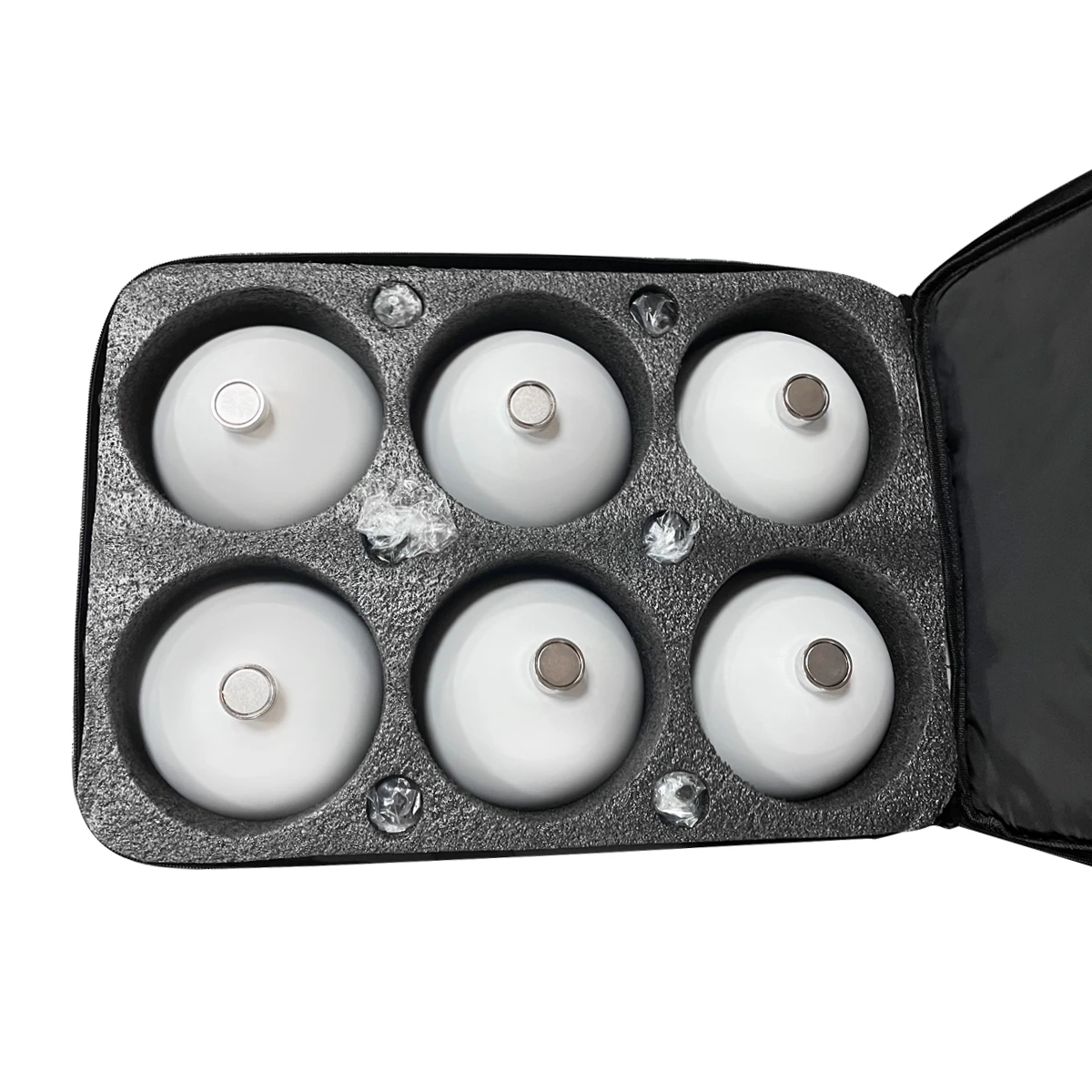 145mm 3D Scanner Target Spheres 6pcs With Magnetic Base Tripod Mount Carrying Case Soft Shoulder Bag