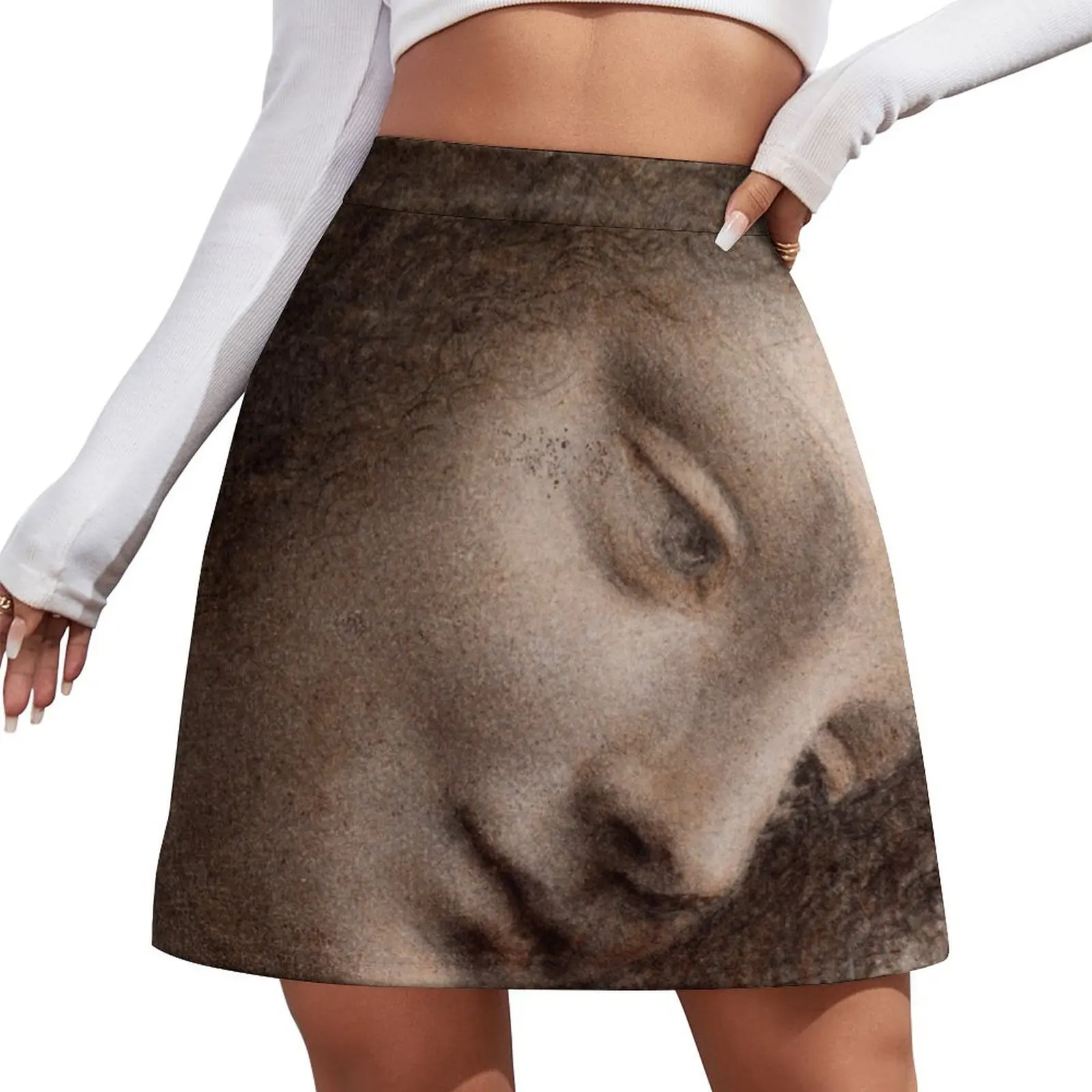 Leonardo da Vinci The Head of the Virgin in Three-Quarter View Facing Right Mini Skirt Women skirt Female skirt