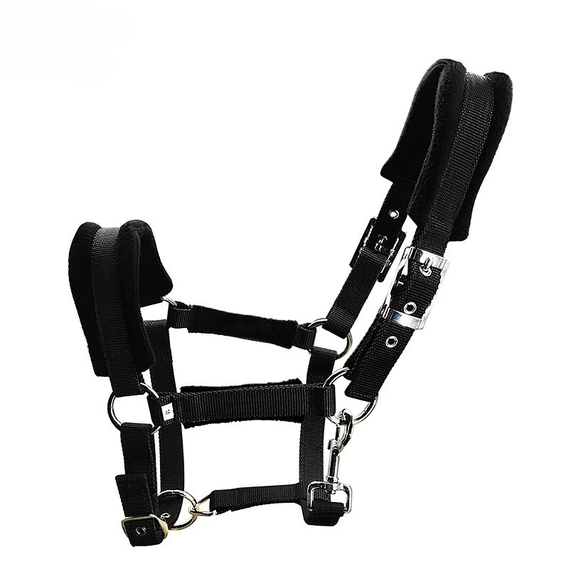 Horse Halter & Headstall, Equine Head Collar Riding Equipment Size M