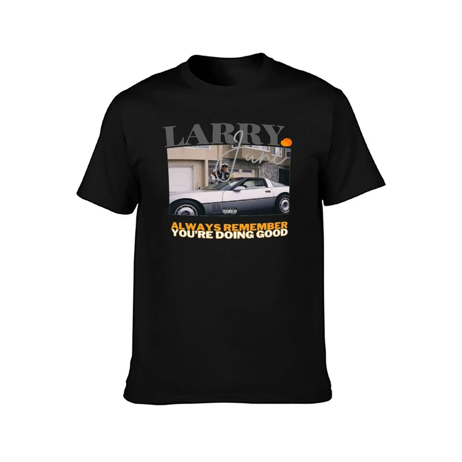 LARRY JUNE T-Shirt Casual Lightweight Short Sleeve Top T-Shirt