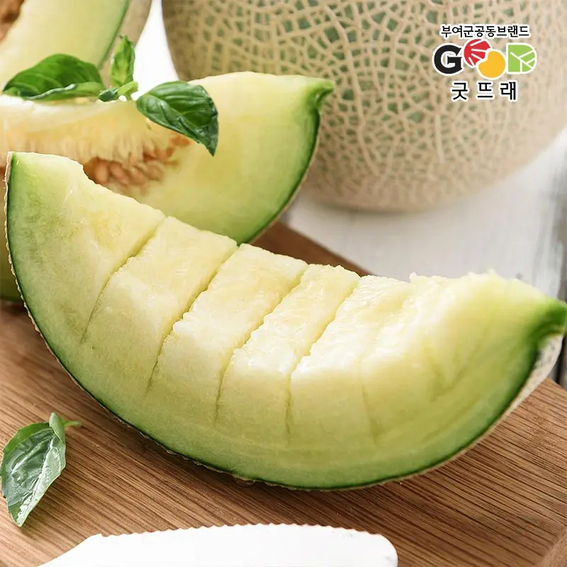 Everything You Need to Know About Melons: A Complete Guide
