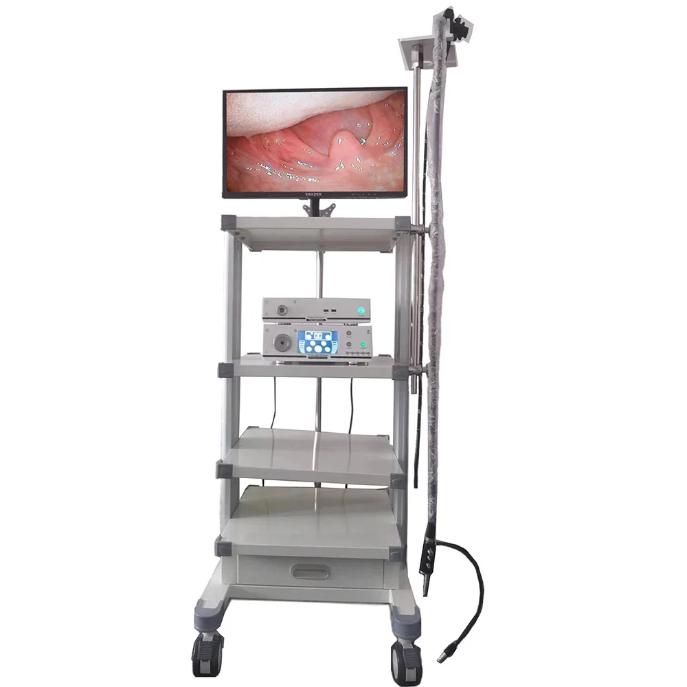 Multifunctional Veterinary Cattle Dog Horse Pet With Full HD Video Endoscope Gastro-colonoscope