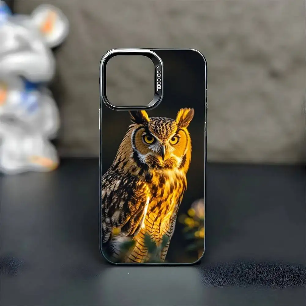 حافظة هاتف OWL FORST واقعية لهاتف iPhone 16,15,14,13,12,11,Mini,Pro,MAX غطاء أسود غير لامع مقاوم للصدمات