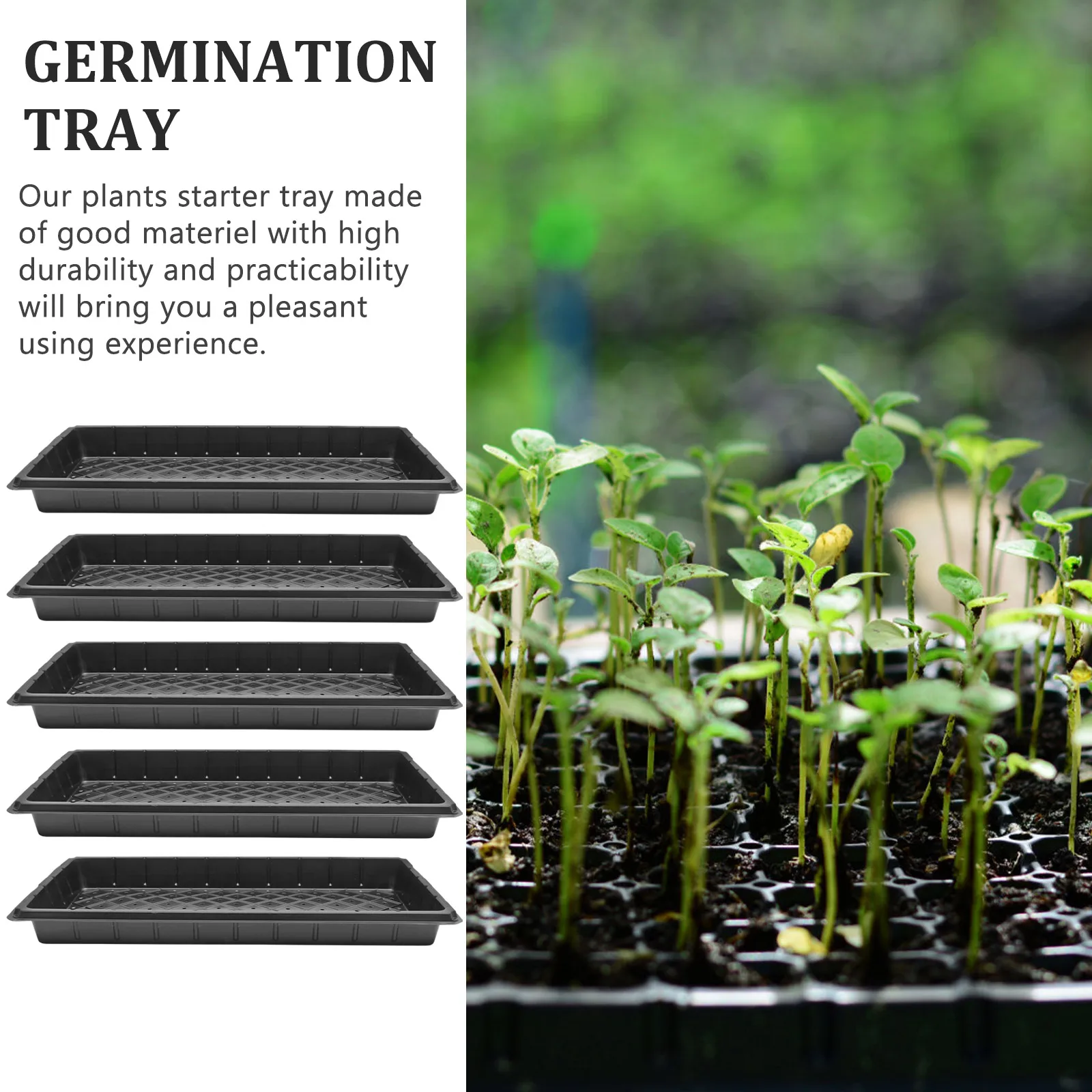 

5pcs Durable Germination Tray With 1020 Holes Seedling Growing Plate Transplant Container For Gardening Greenhouse Nursery
