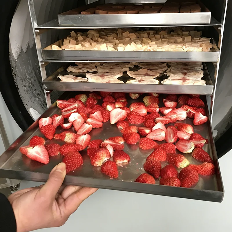 Custom Mini Household Fruit and Vegetable Freeze Dryer for Small Business Automatic Vacuum Freeze Dryer Stainless Steel