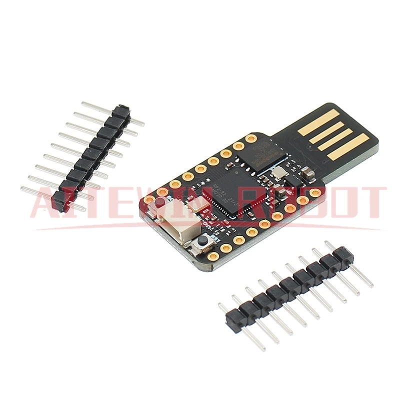 MINI USB RP2040 Entwicklungsboard-Modul für Raspberry Pi Dual Core 4 MB 16 MB USB-Werkzeugmodule