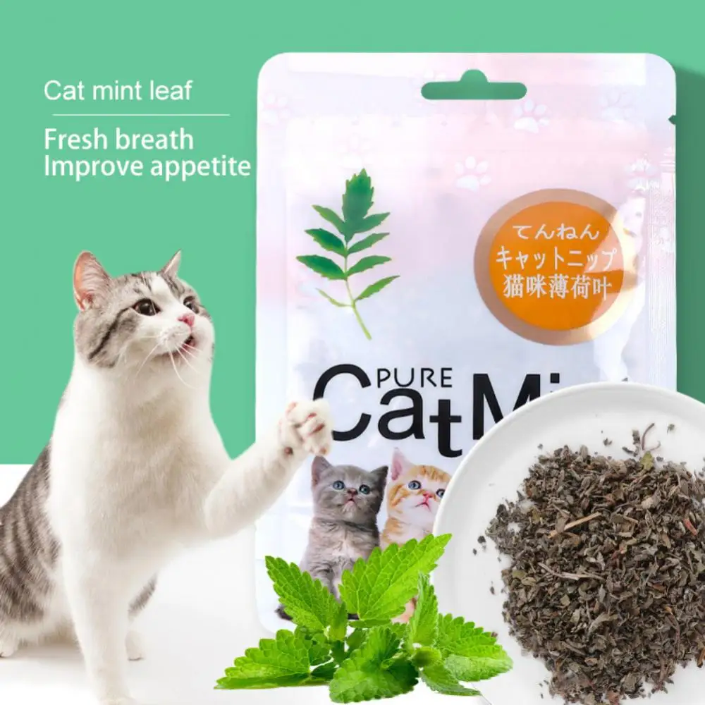 Caring For The Stomach Cat Toy Cleaning Teeth Raising Cats Tools Cat Mint Toys High Quality Cat Mint Leaf Powder Natural 5g