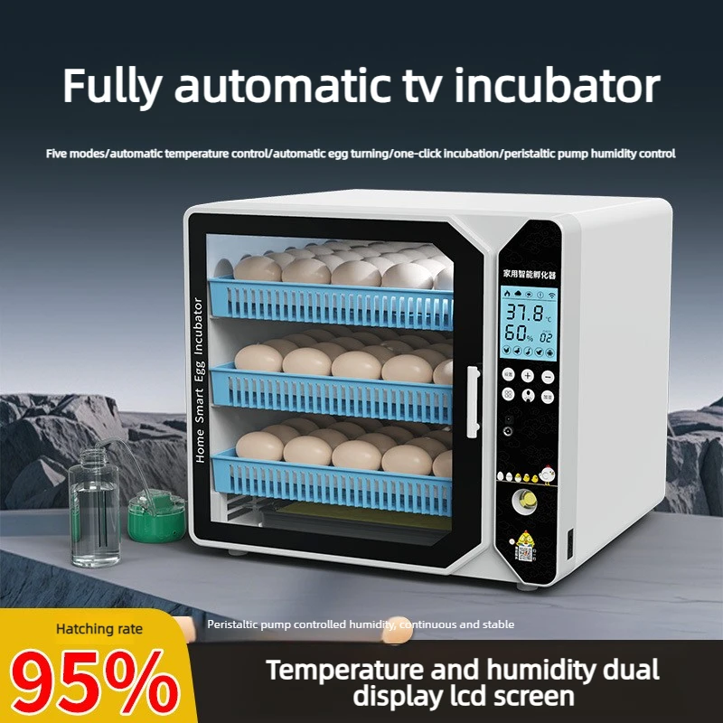 Incubator Smart Incubation Box Small Household Incubator for Chickens Ducks Geese Pigeons and Quail Egg Incubator