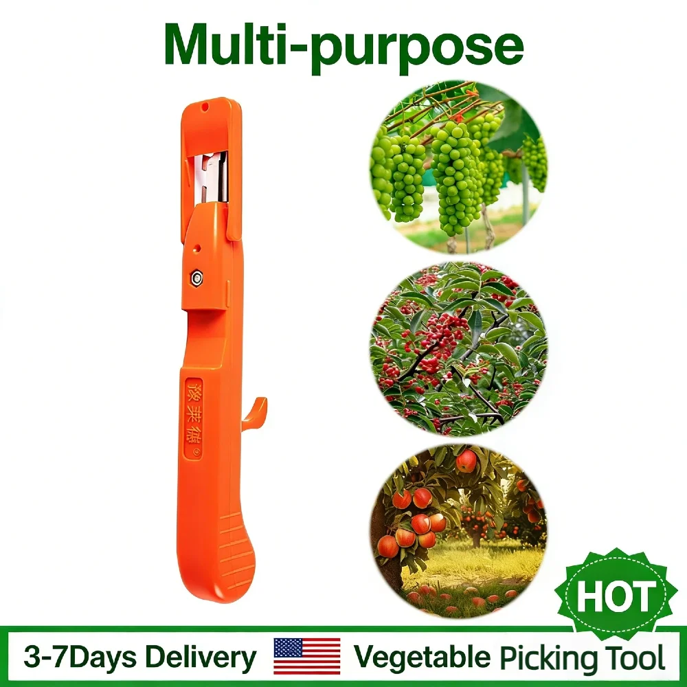 

Садовые ножницы для обрезки и сбора урожая, многофункциональный триммер для фруктов, эргономичный инструмент для перцевых кустов, лезвия из нержавеющей стали, с креплением на большой палец