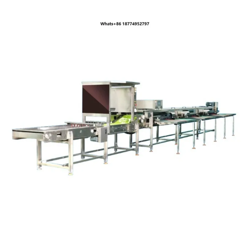 Egg Processing Equipment Lighting Inspection Duck Egg Optical Inspection Machine