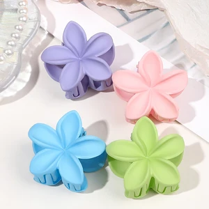 أعلى 10 مبيعات لحفلات الشعر في هاواي - رقم 6