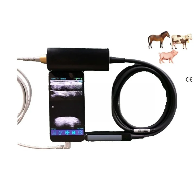Rectal Linear Ultrasound Probe