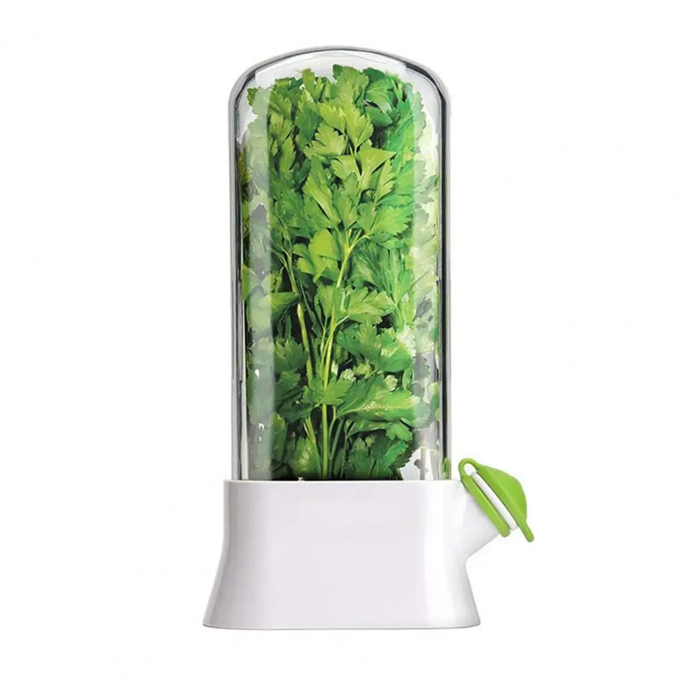 

Herb Storage Box,Cilantro Storage Container,Parsley Preservation Box,for Green Onions Asparagus Vegetables