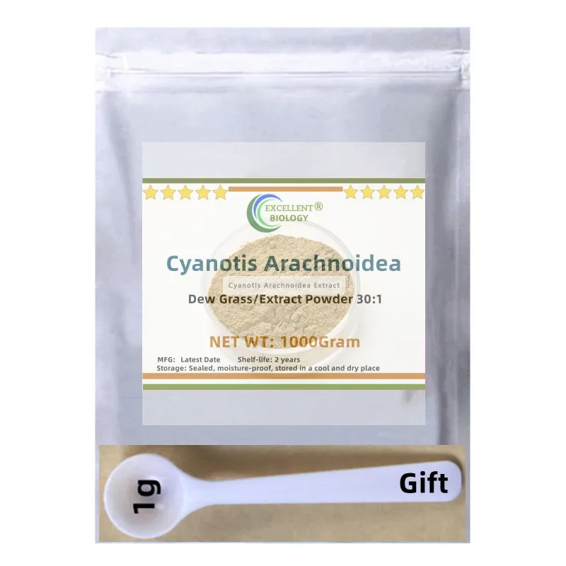 Global Aliexpress O… - image