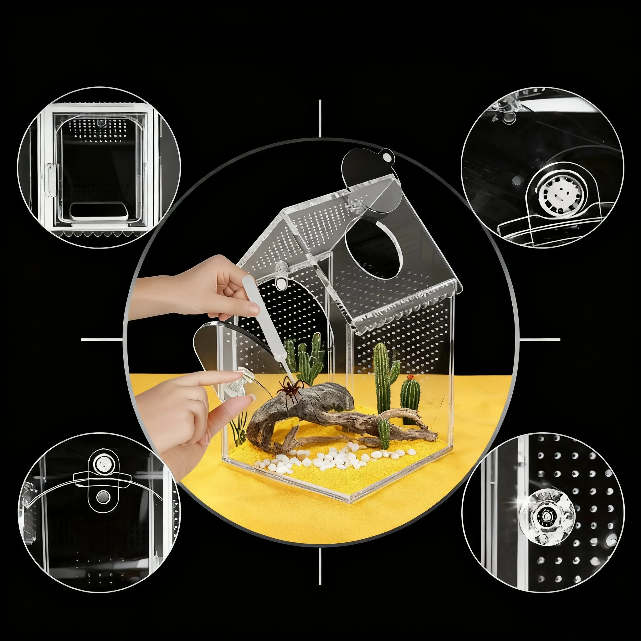 Sturdy Acrylic Araneid Enclosure with Front Access Feeding Port for Pets 5 Inch Length 5 Inch Width 8 Inch Height Transparent