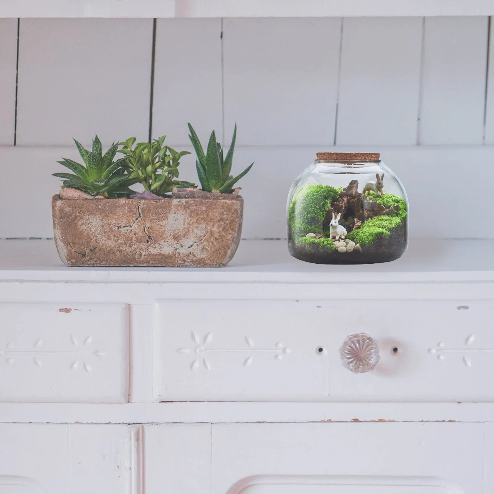 

Micro Landscape Ecological Bottle Glass Terrarium Planter Decorative Vase Smooth Design Moss Stones Fillers DIY Mini Green Plant
