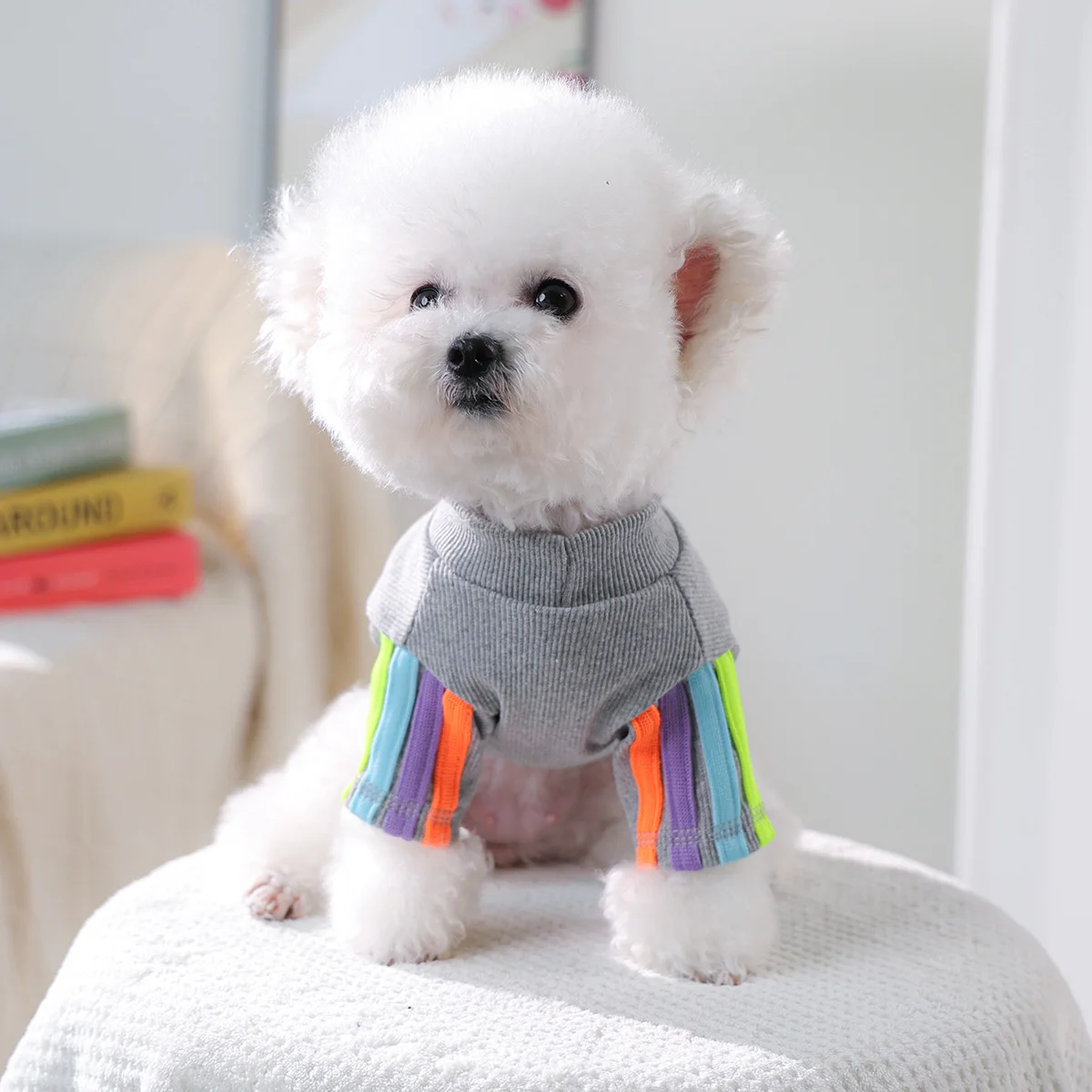 قطعة واحدة من ملابس الحيوانات الأليفة للقطط والكلاب، أكمام مخططة ملونة مريحة للفصول الأربعة، سترة قميص سفلية مع مشبك جر