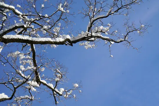 1:10 Racewagen Banden 68mm Band 12mm Hex voor 1/10 RC On Road Auto Tamiya TT01 TT02 XV01 XV02 PTG-2 HSP HPI Kyosho Upgrade Onderdelen