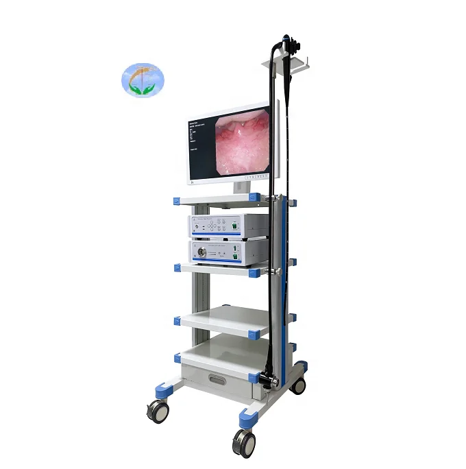 Medical Endoscope  Video Gastroscope and Colonoscope CMOS HD ENT Endoscope  Ear Nasal endoscope usb otoscope