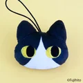 hachi cat