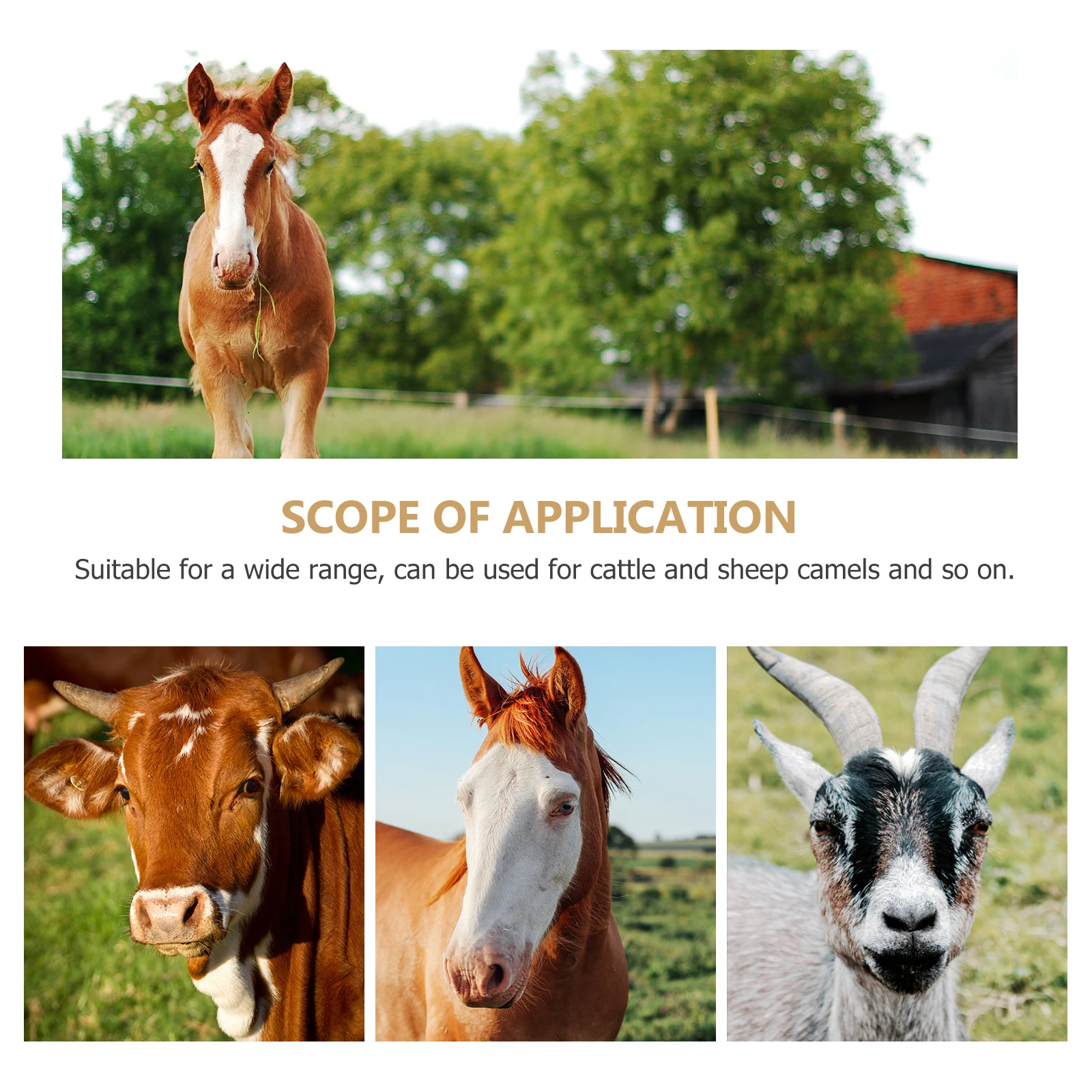 فرشاة حافر الحصان من الدرجة الاحترافية، بناء معدني قوي، تخزين مريح، مناسبة لتشذيب حوافر الماشية والحمار والماعز