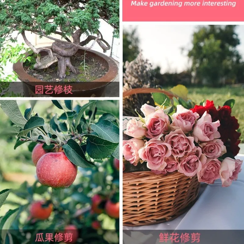 Gunting Bunga Stainless Steel, Gunting Bunga Pemangkas Melon dan Buah, Gunting Pemangkas Berkebun