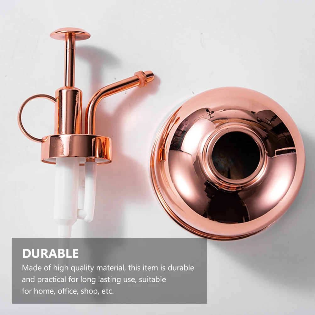 

Succulent Watering Can Bottle Pump Small Spout Outlet Stainless Steel Alloy Nozzle for Plants Gardening Kitchen Bathroom