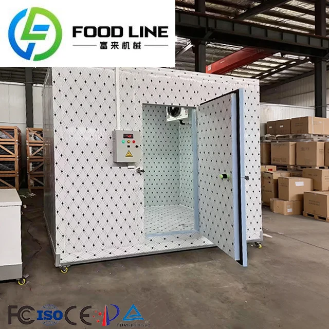 Customized Small Cold Room Storage Mobile Freezer Room Prefabricated Commercial Walk-in Cold Storage Cold Room for Meat Fish
