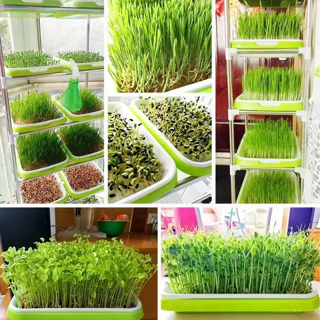 Microgreens Sprouting Tray Hydroponic / Sprouting Tray For Sprout Horticultural Hydroponic Systems Tray Nursery Potted