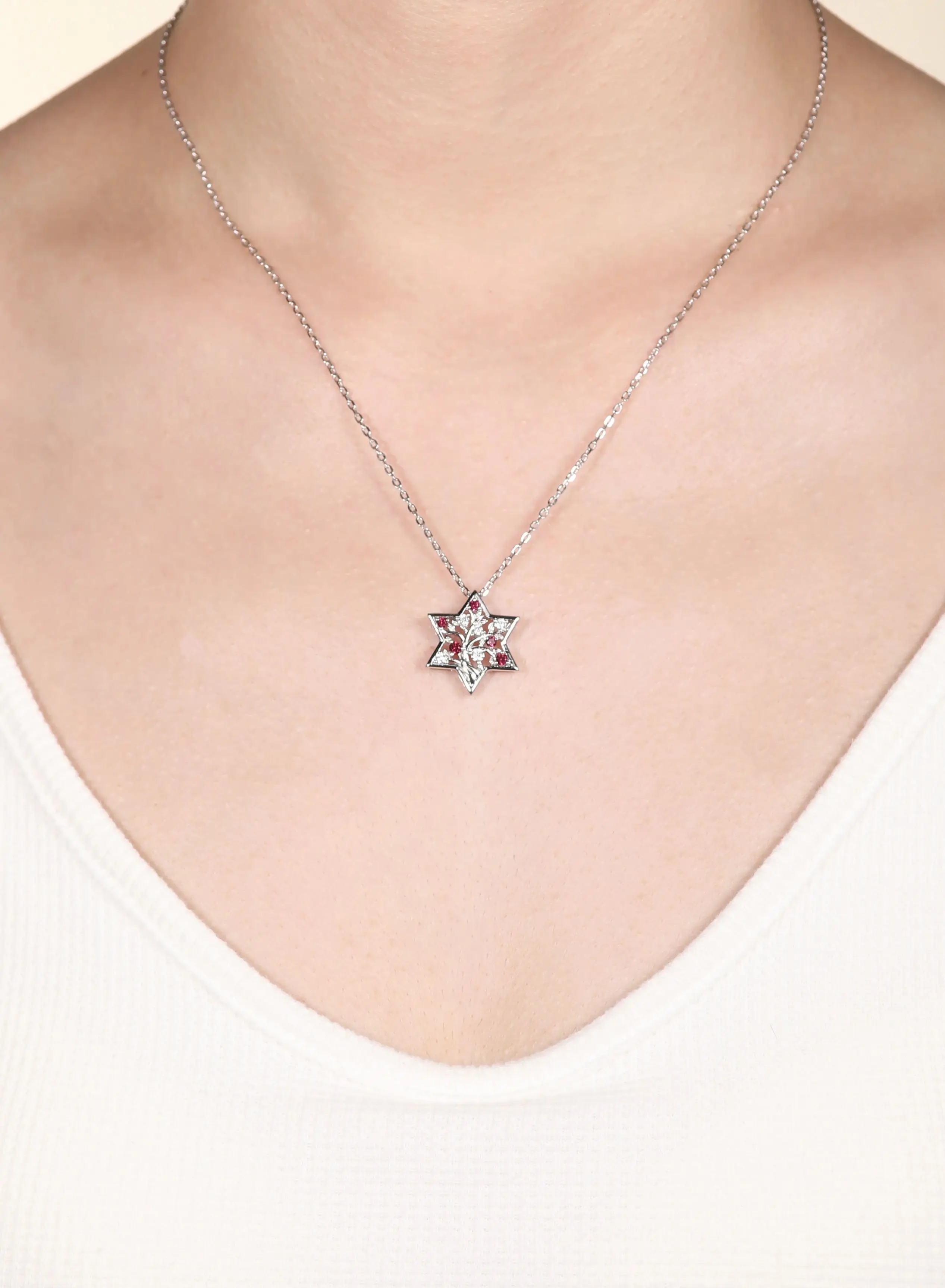 HFE Moissanite Jewish Star of David Pendant Necklace for Women Laboratory Emerald/Sapphire/Ruby 925 Pure Silver Israeli Necklace