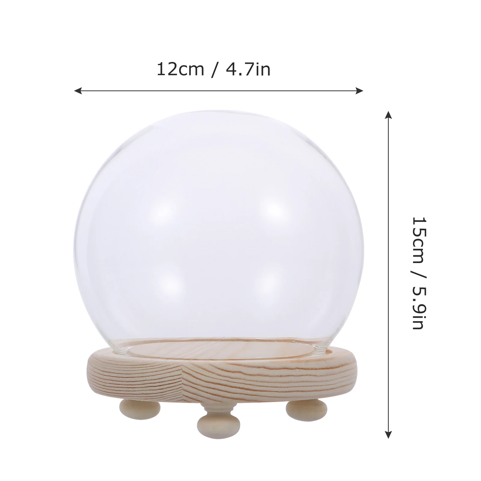 Food Containers Spherical Glass Cover Dome Dust Jar Preserved Flower Transparent Model Display