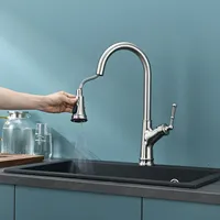 Modern Pull Out Spray Brass Kitchen Faucet Water Filter Tap Chrome Sink Hot and Cold Mixer Kitchen Faucet