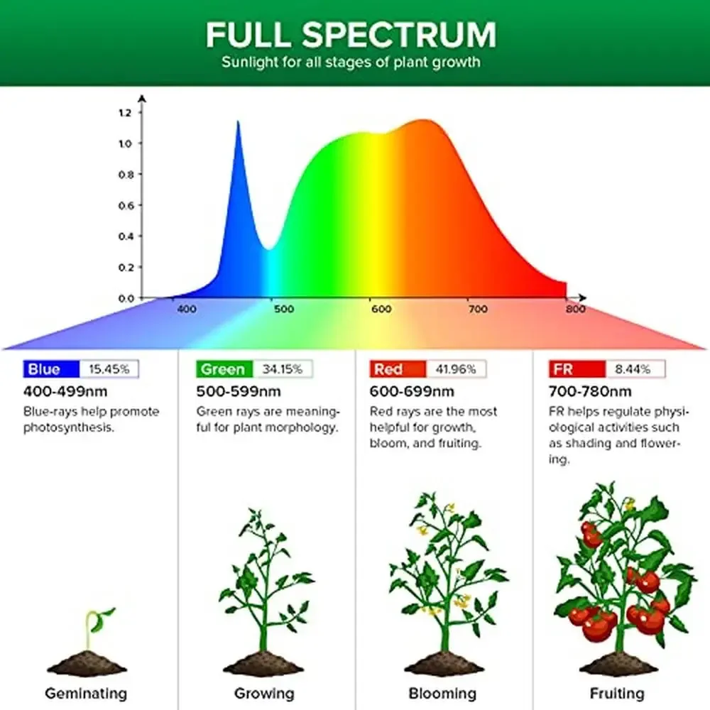40W Adjustable Full Spectrum Grow Light with High PPFD and Safe Ceramic Design