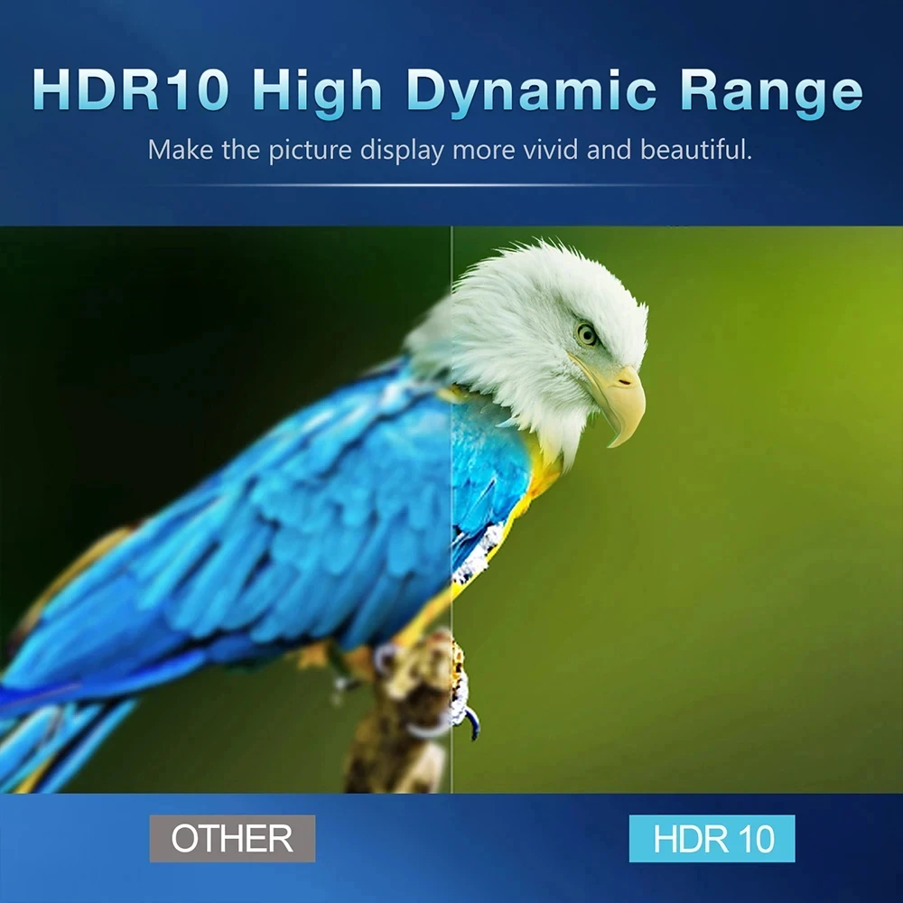 Q1 Android14 Smart TV Box 4K 8K Video HDR10+ H313 2,4G & 5G Dual Wifi 16G 32G 64G 128G Globale Version Sprachassistent Media Player